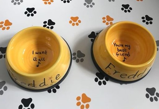 Pet Bowl Small