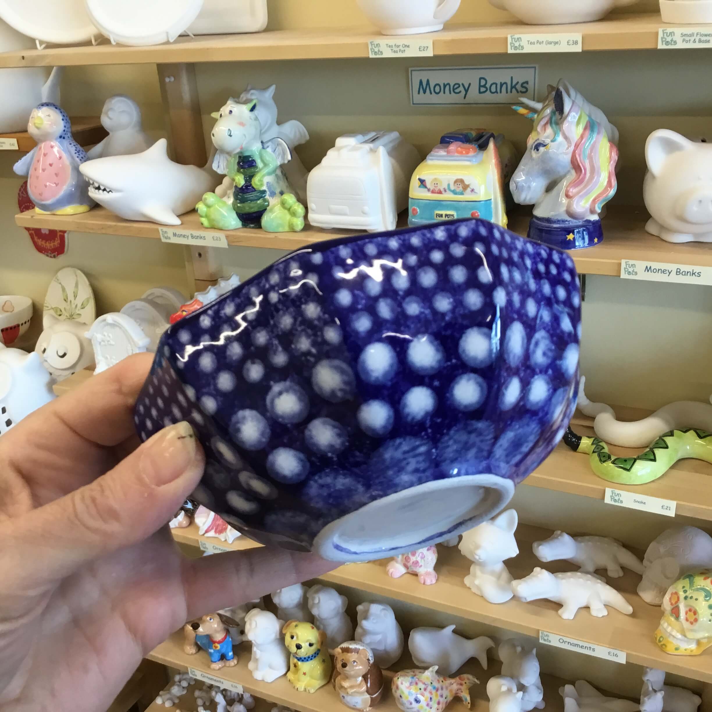 Dotty Bowl