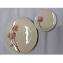 Dinner & dessert set